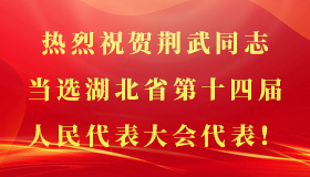 ���Ź����217��(�й���)����