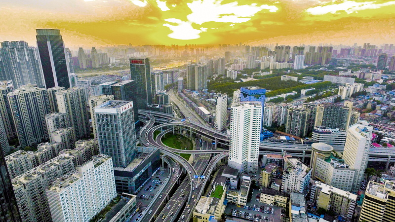 ���Ź����217��(�й���)����