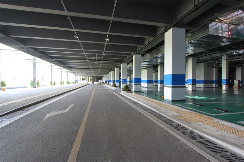 ���Ź����217��(�й���)����