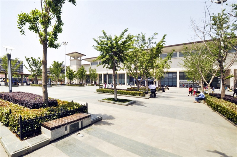 ���Ź����217��(�й���)����