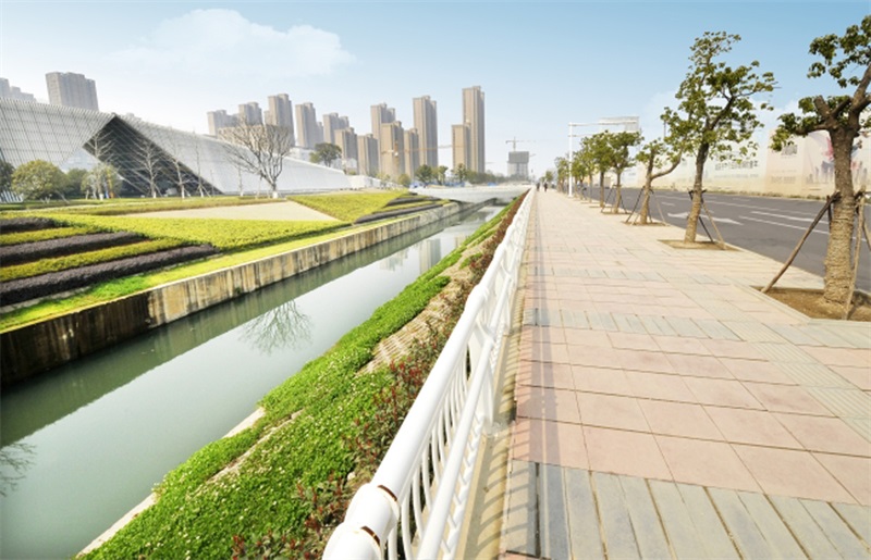 ���Ź����217��(�й���)����