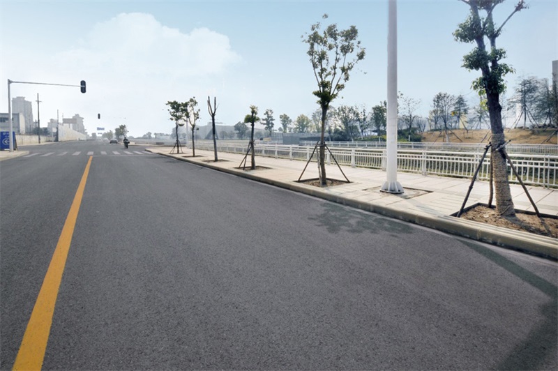 ���Ź����217��(�й���)����