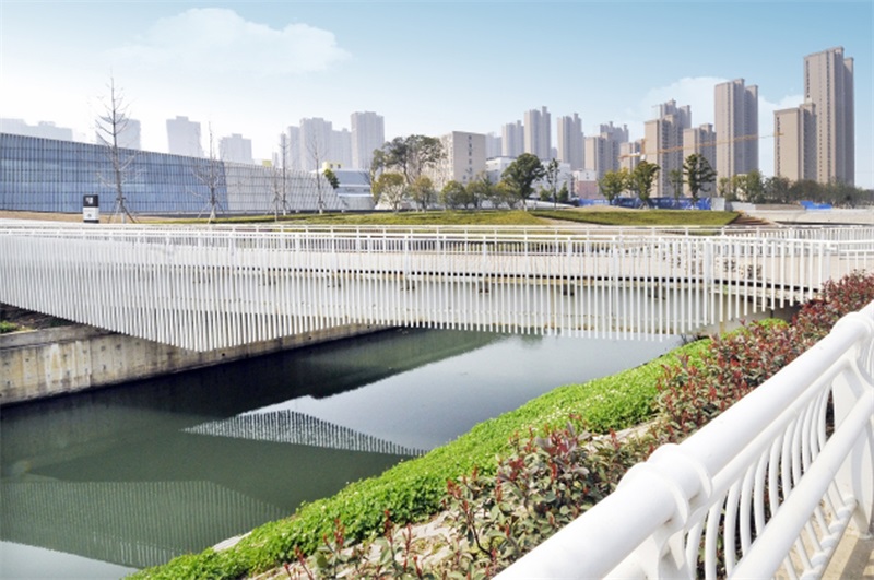 ���Ź����217��(�й���)����