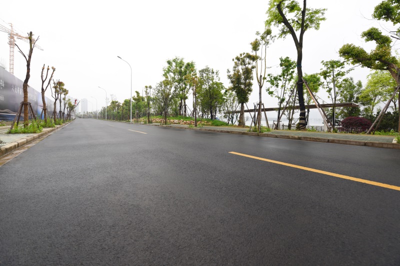 ���Ź����217��(�й���)����