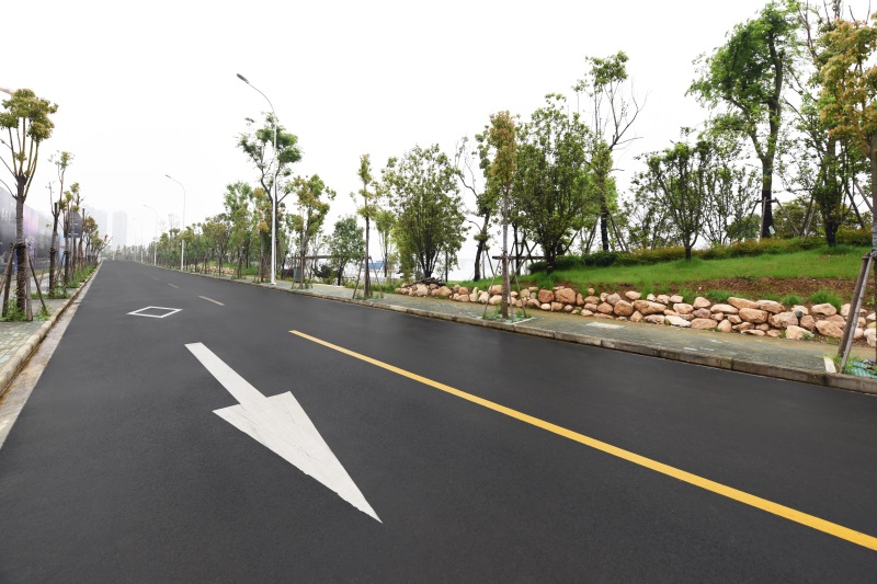 ���Ź����217��(�й���)����