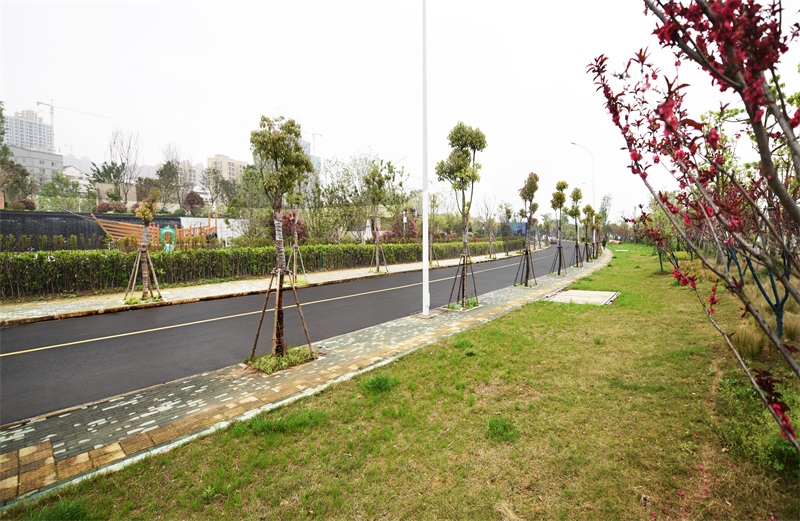 ���Ź����217��(�й���)����