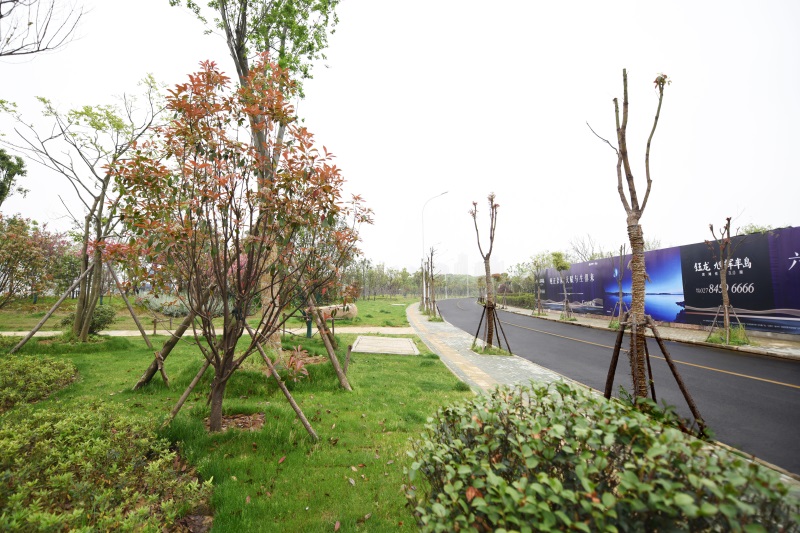 ���Ź����217��(�й���)����