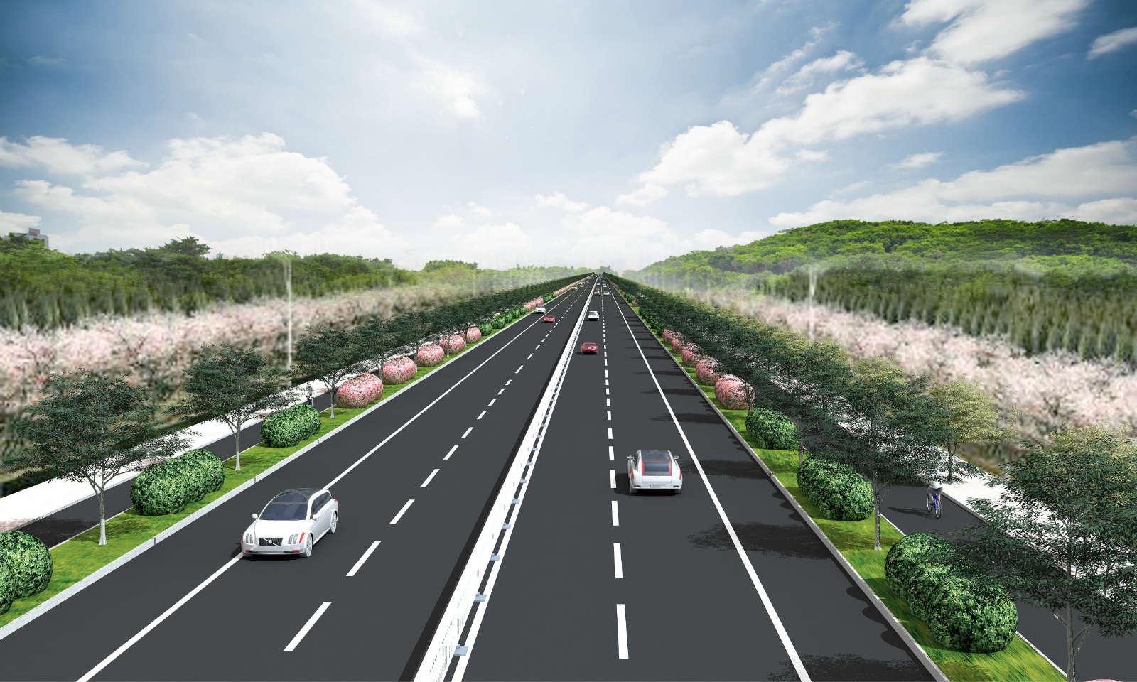 ���Ź����217��(�й���)����