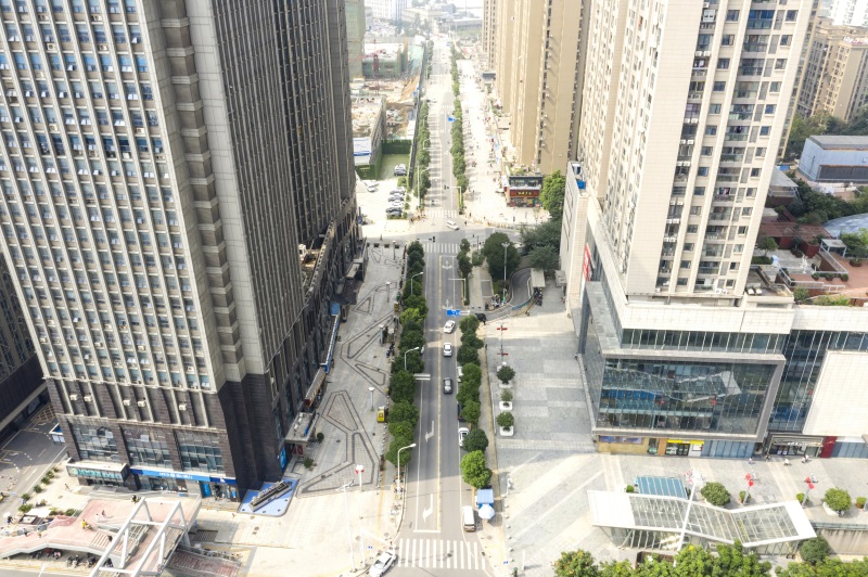 ���Ź����217��(�й���)����