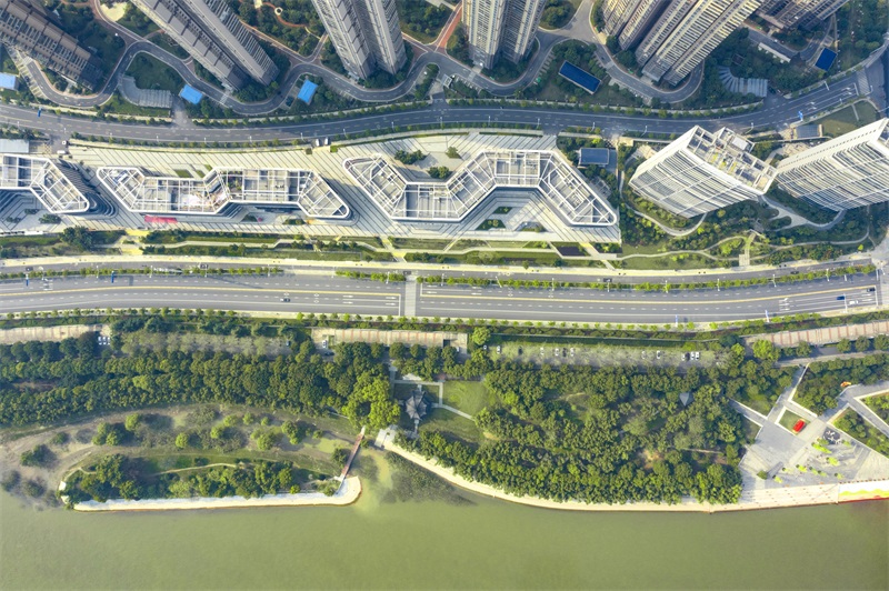 ���Ź����217��(�й���)����