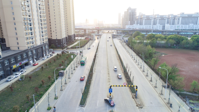 ���Ź����217��(�й���)����