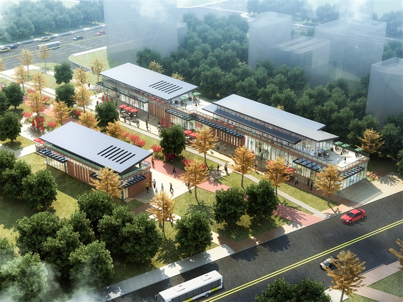 ���Ź����217��(�й���)����