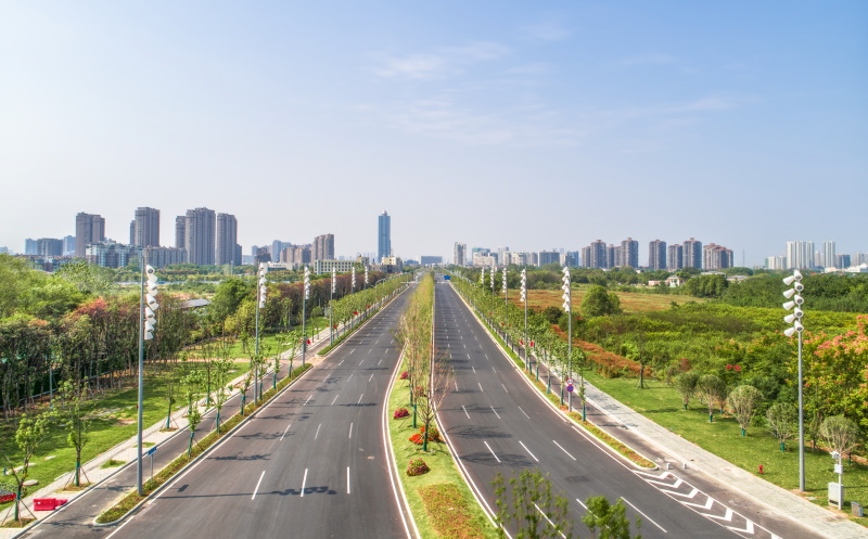 ���Ź����217��(�й���)����