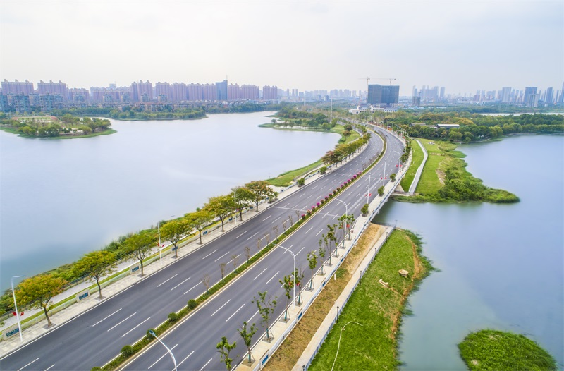 ���Ź����217��(�й���)����