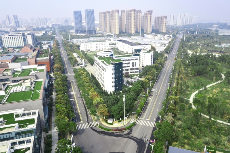 ���Ź����217��(�й���)����