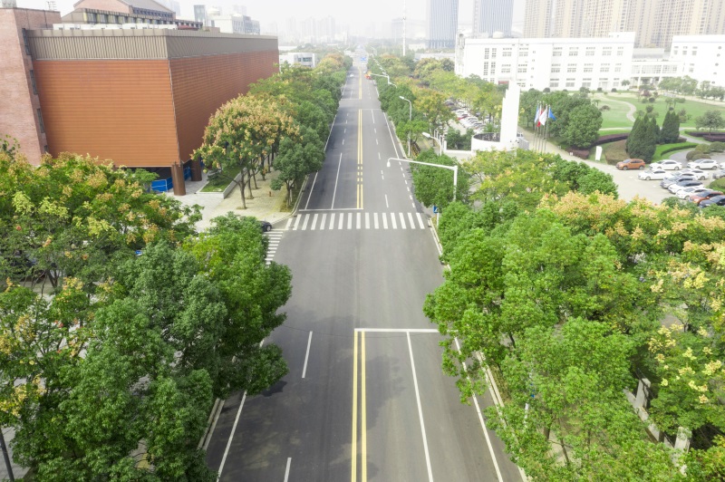 ���Ź����217��(�й���)����