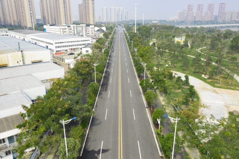 ���Ź����217��(�й���)����