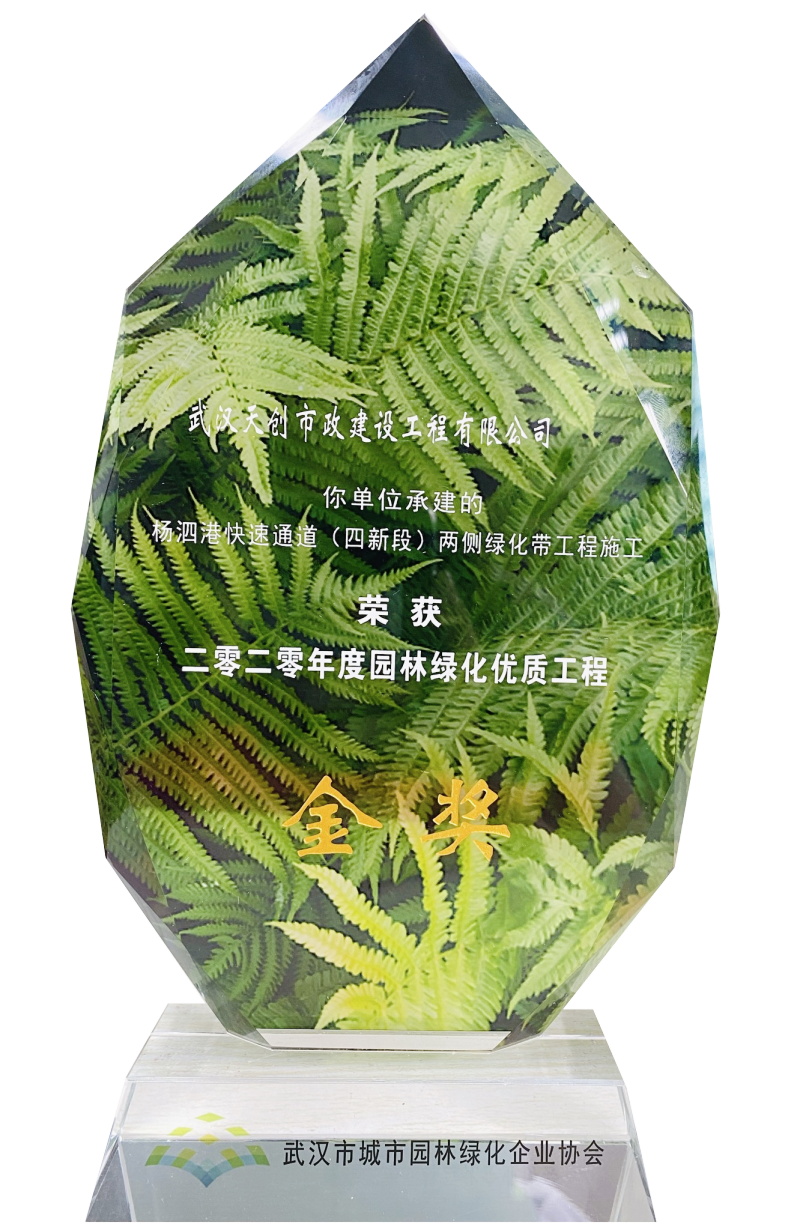 ���Ź����217��(�й���)����