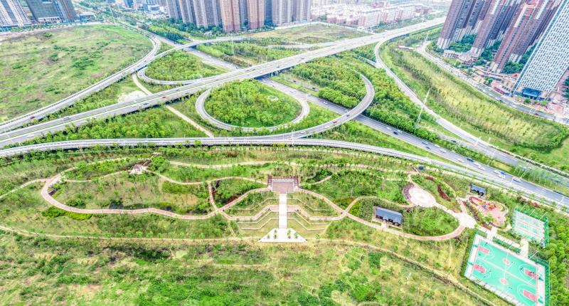 ���Ź����217��(�й���)����