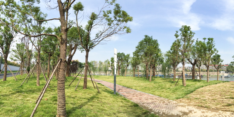 ���Ź����217��(�й���)����