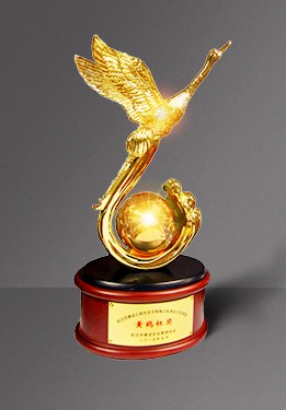 ���Ź����217��(�й���)����