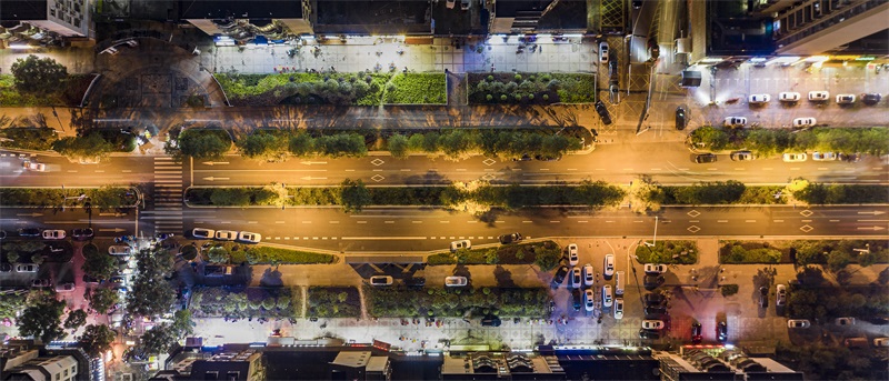 ���Ź����217��(�й���)����