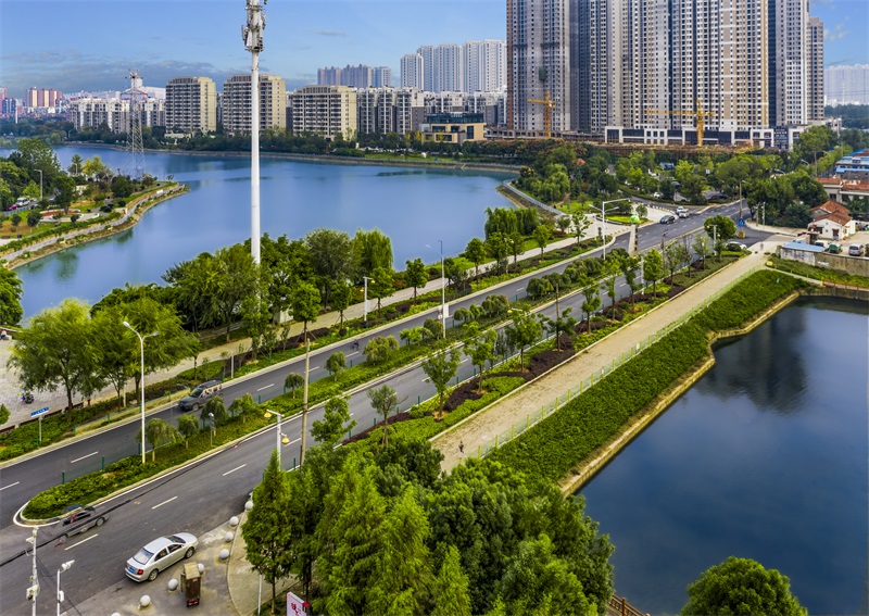 ���Ź����217��(�й���)����