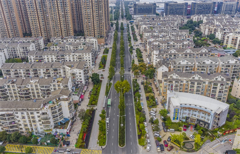 ���Ź����217��(�й���)����