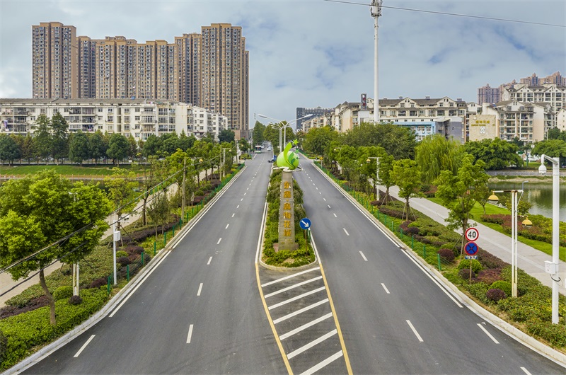 ���Ź����217��(�й���)����