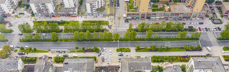 ���Ź����217��(�й���)����