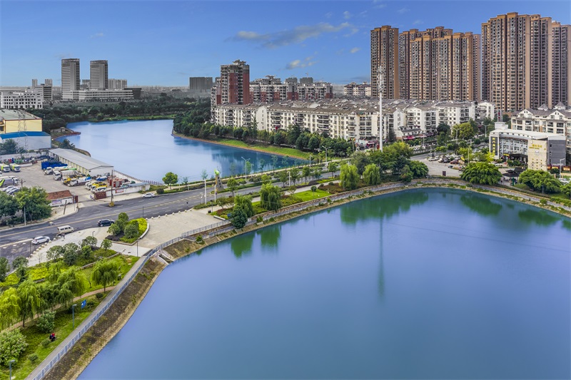 ���Ź����217��(�й���)����