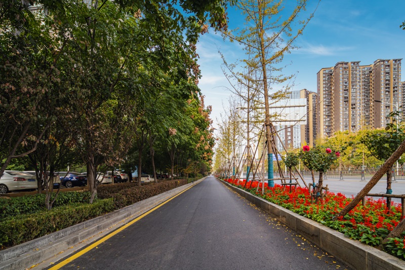 ���Ź����217��(�й���)����