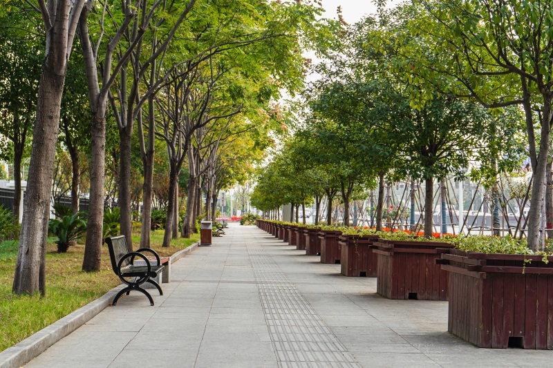 ���Ź����217��(�й���)����