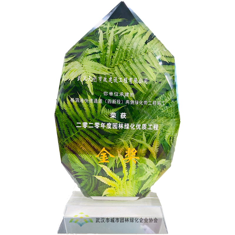 ���Ź����217��(�й���)����