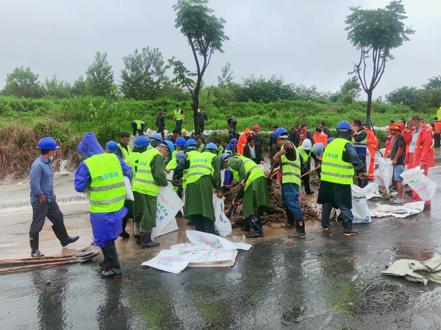 ���Ź����217��(�й���)����