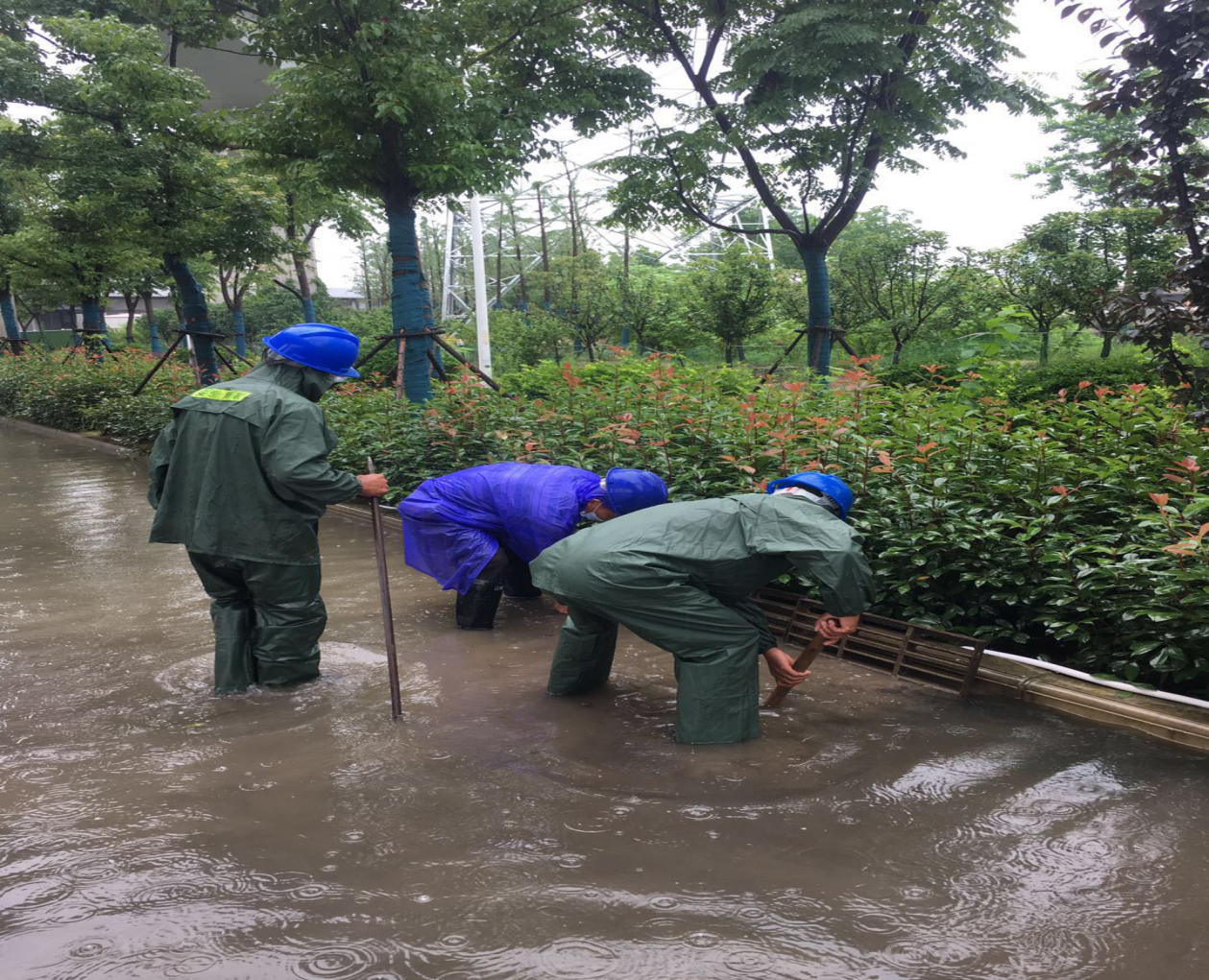 ���Ź����217��(�й���)����