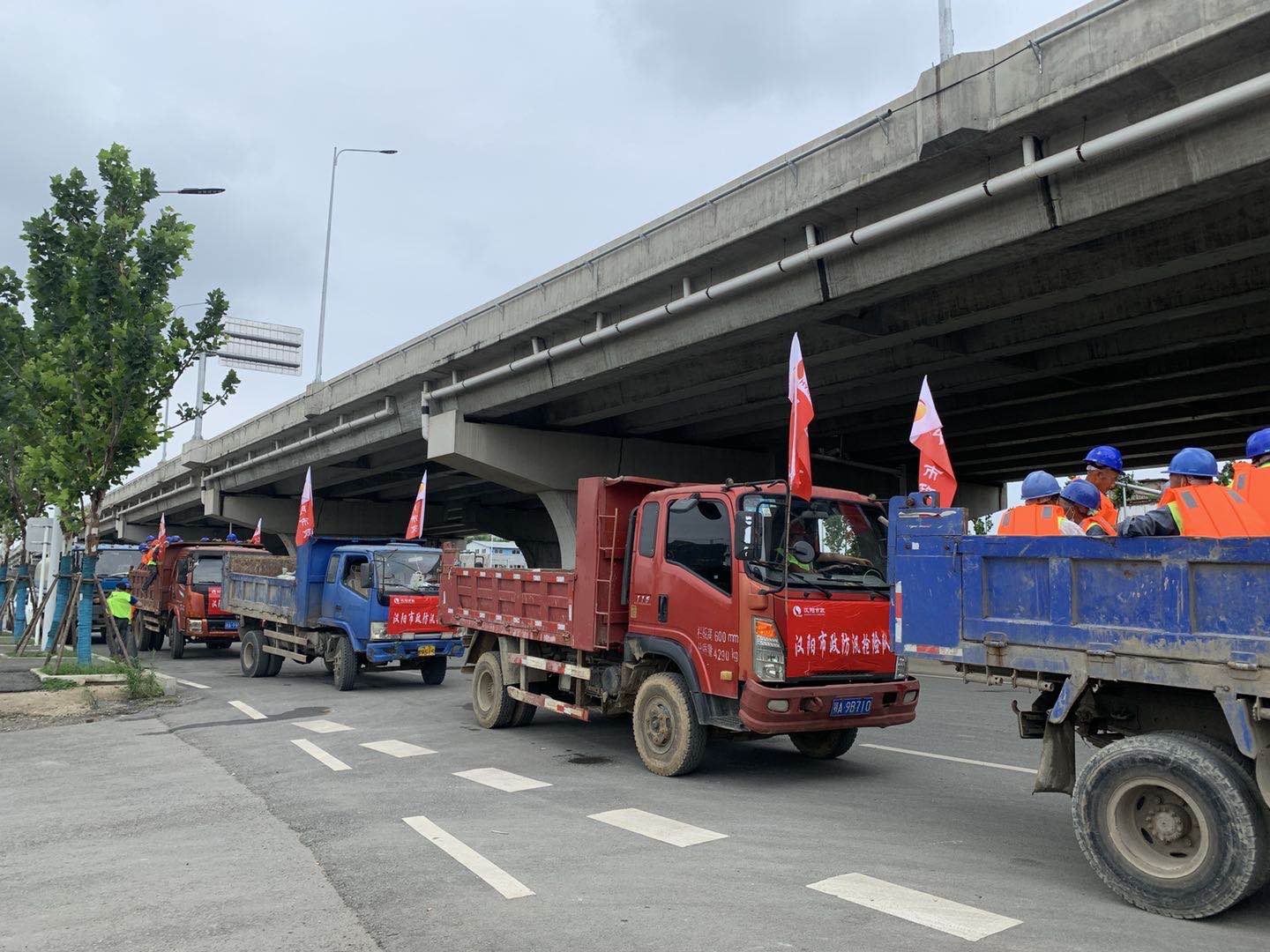 ���Ź����217��(�й���)����