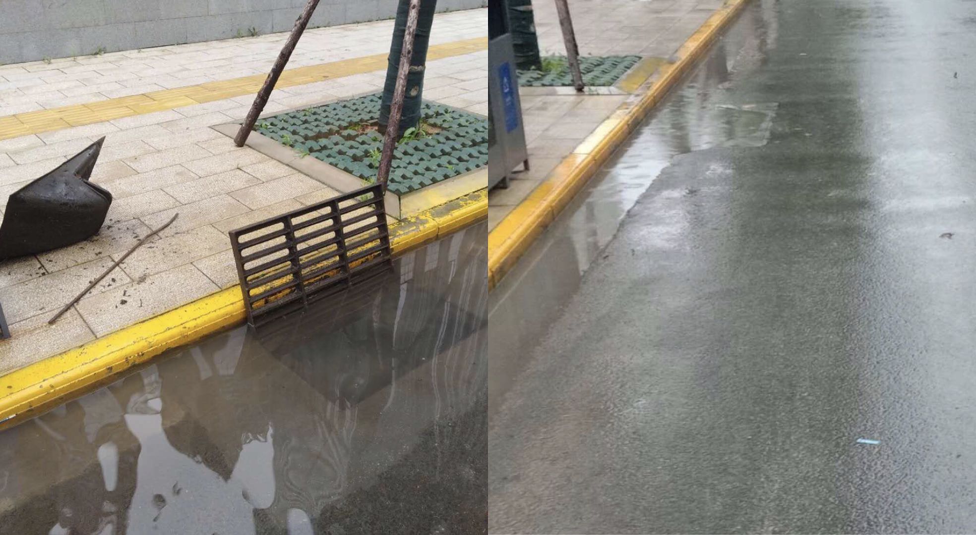 ���Ź����217��(�й���)����