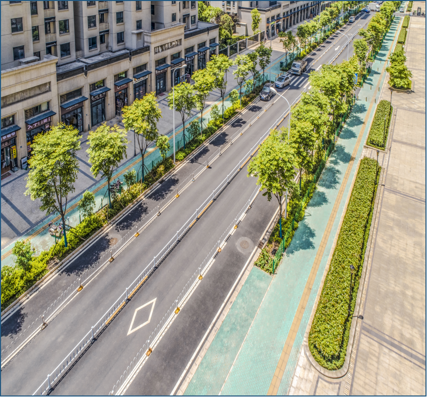 ���Ź����217��(�й���)����