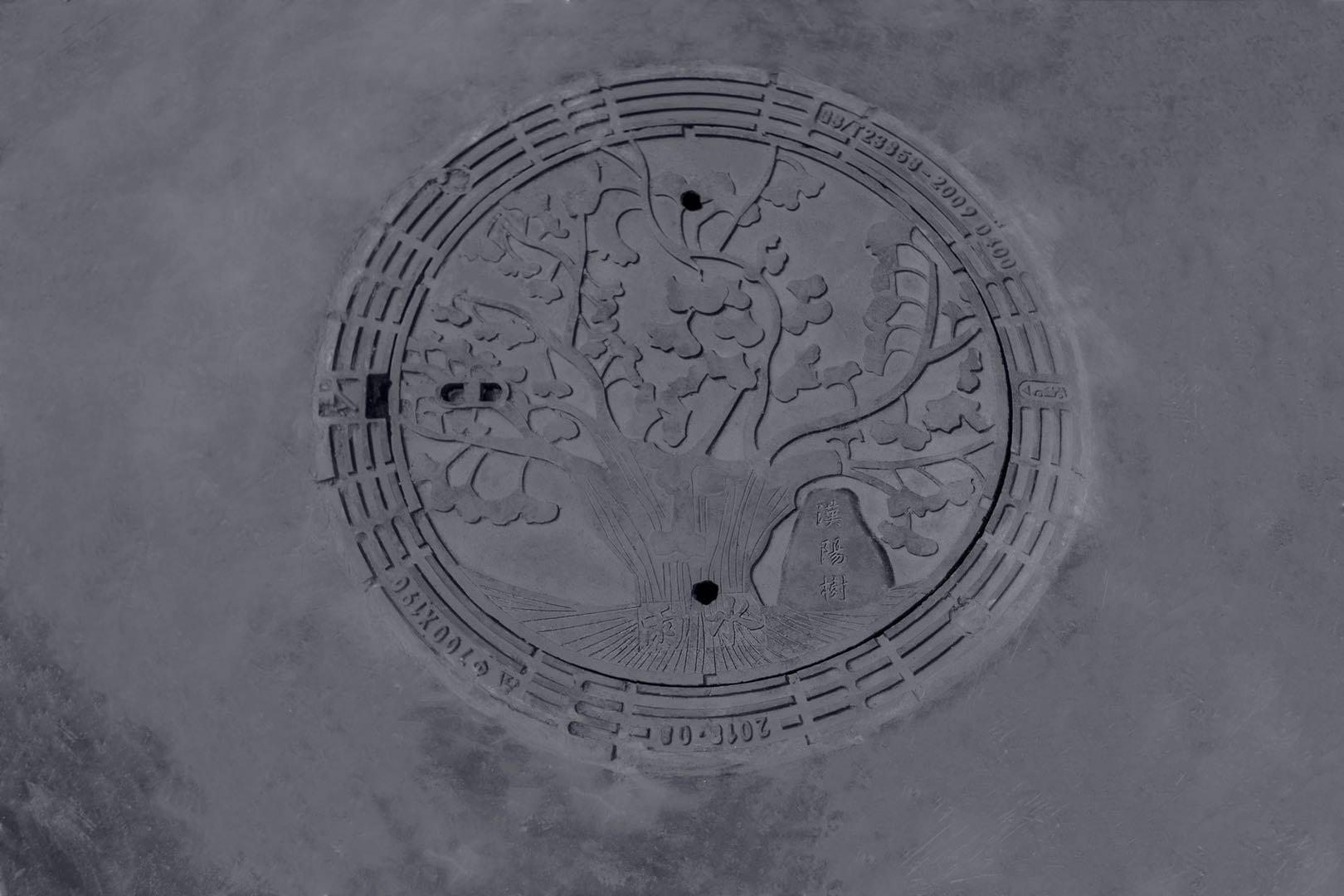 ���Ź����217��(�й���)����