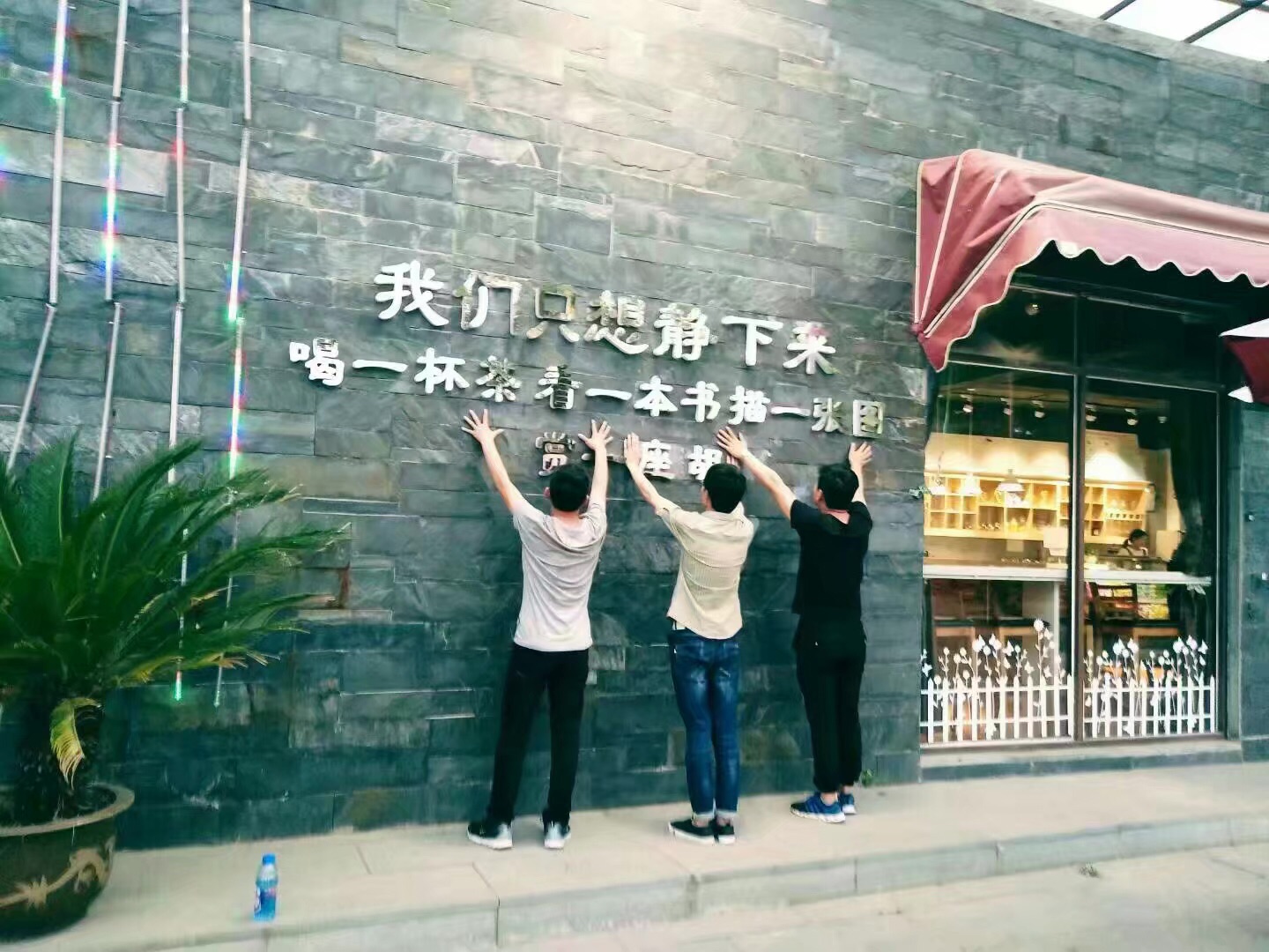 ���Ź����217��(�й���)����