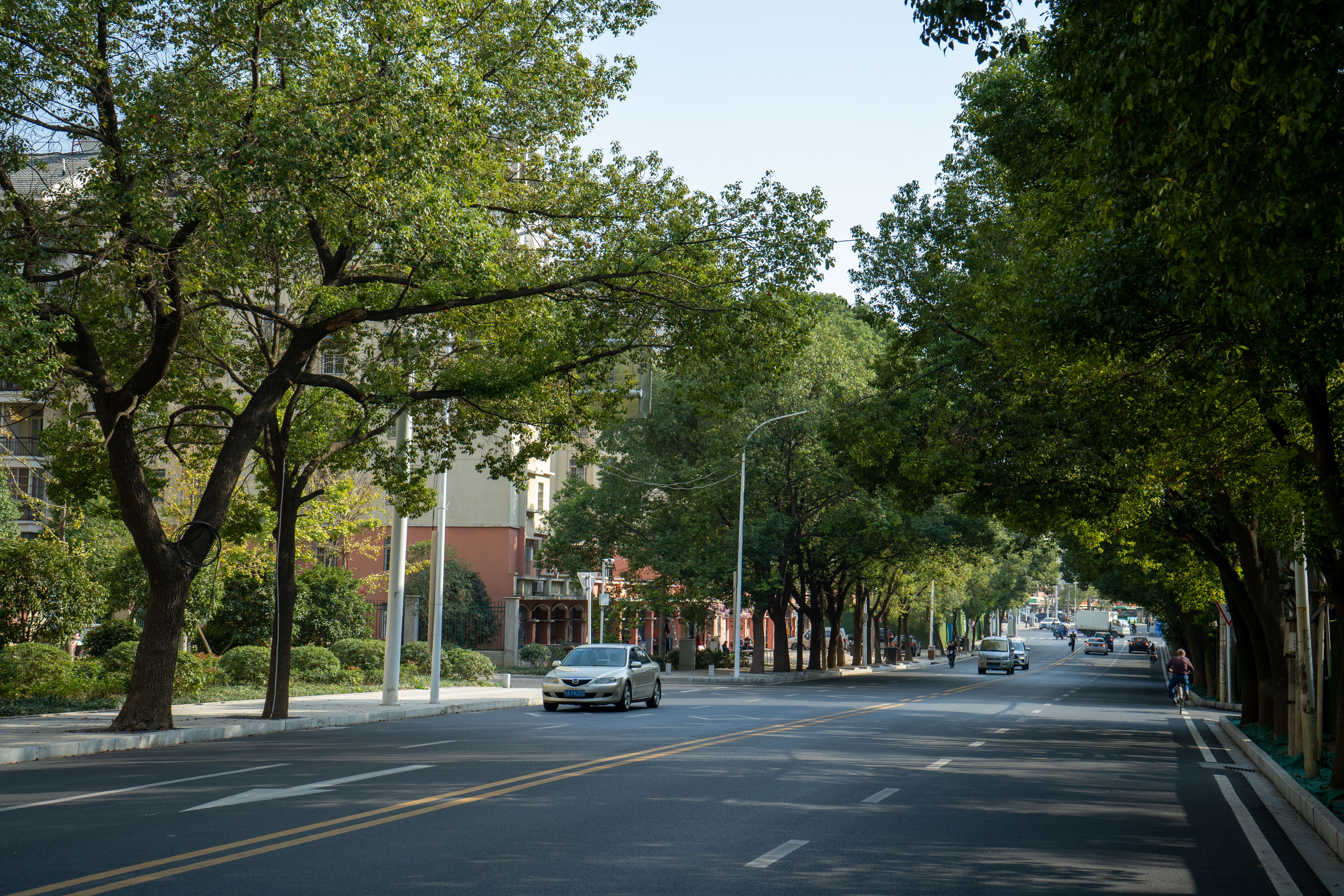 ���Ź����217��(�й���)����