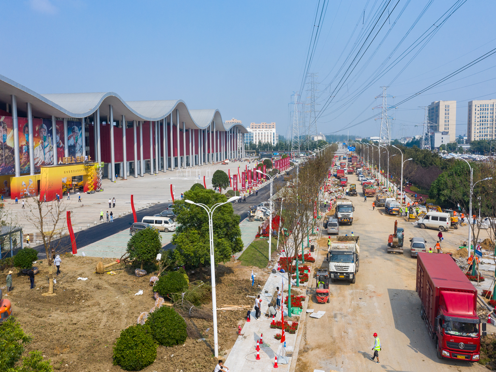 ���Ź����217��(�й���)����