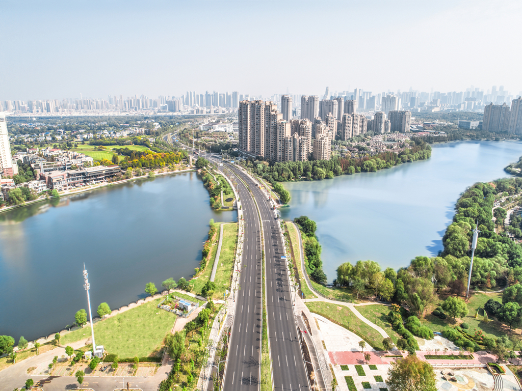 ���Ź����217��(�й���)����