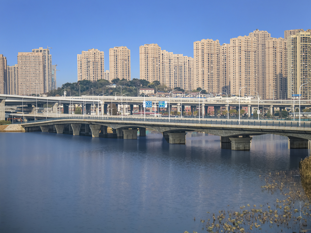 ���Ź����217��(�й���)����