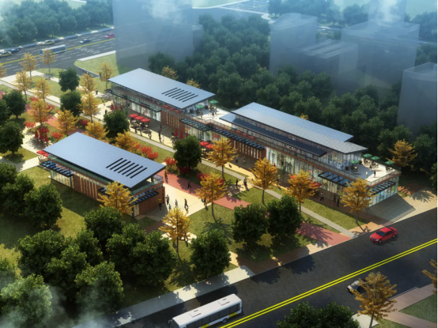 ���Ź����217��(�й���)����