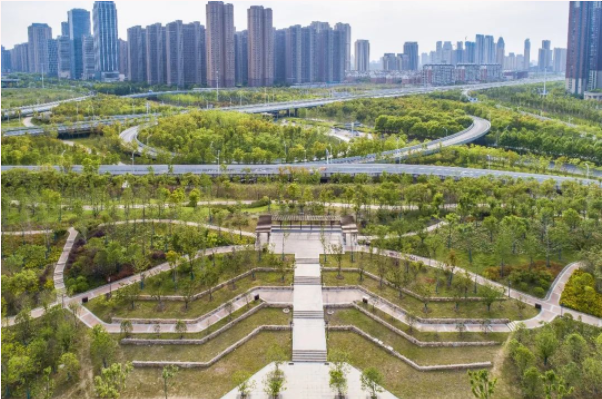 ���Ź����217��(�й���)����