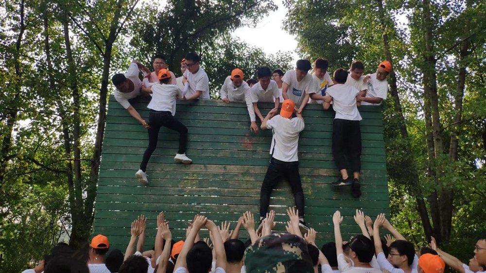 ���Ź����217��(�й���)����