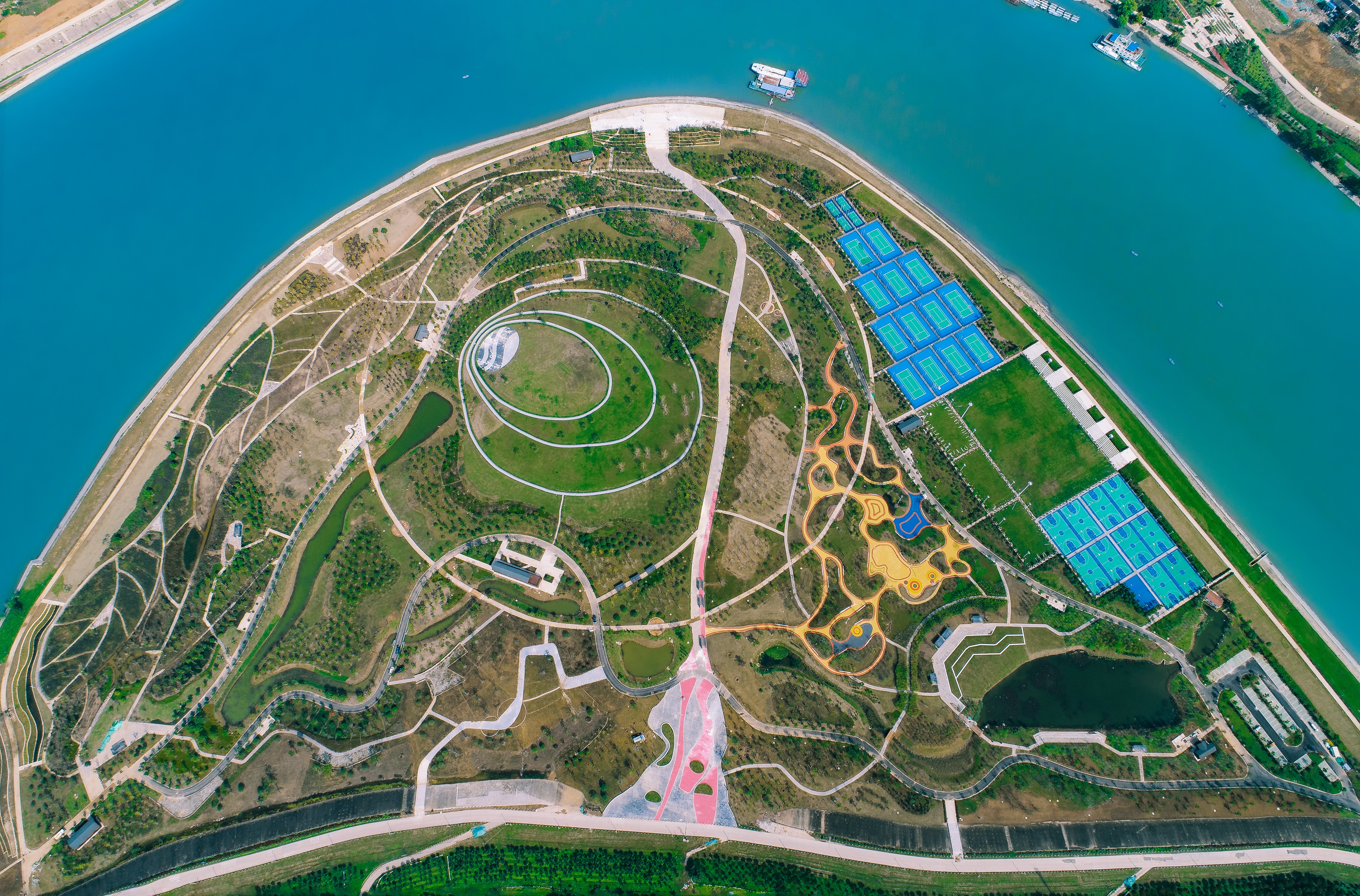 ���Ź����217��(�й���)����