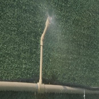 ���Ź����217��(�й���)����